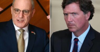 Tucker Carlson's antisemitic ramblings 'bordering on pornography,' says Israel ambassador