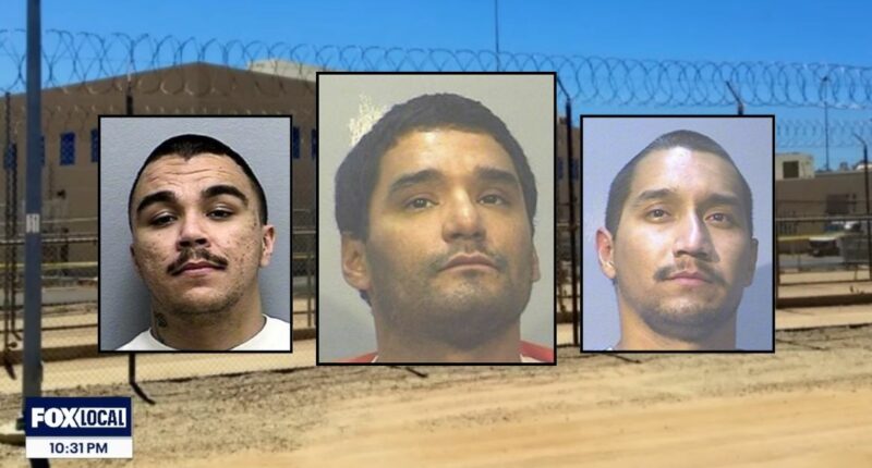 'Turn his murder into entertainment': Corrections officers spend 3 full minutes recording the murder of an inmate on their phones while doing nothing to help, lawsuit says