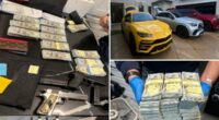 Twenty-five stolen cars, $300,000 cash and guns