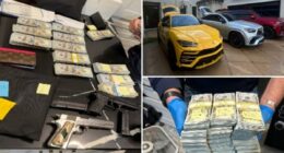 Twenty-five stolen cars, $300,000 cash and guns