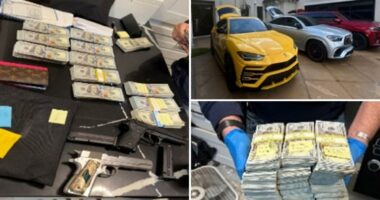 Twenty-five stolen cars, $300,000 cash and guns