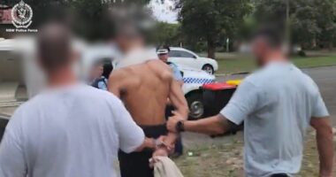 Two charged as police seek to crack 'Coconut Cartel' in Sydney