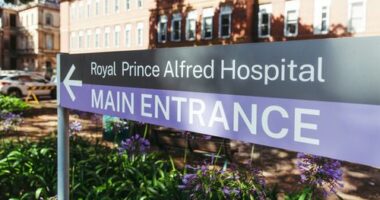 The fungus can have a severe impact on immunocompromised people.