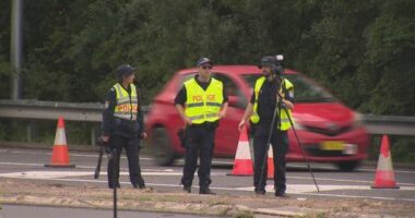 Two people have been killed and a driver has been arrested after a ﻿two-car crash in Sydney's south-west.