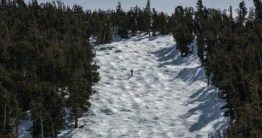 Two more skiers die in Lake Tahoe days after avalanche killed eight