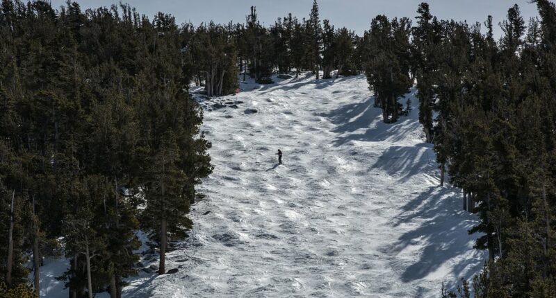 Two more skiers die in Lake Tahoe days after avalanche killed eight