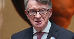 UK politician Peter Mandelson under pressure to quit over Jeffrey Epstein links