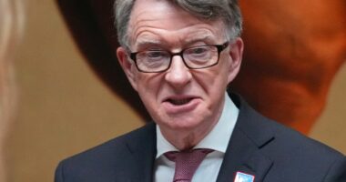 UK politician Peter Mandelson under pressure to quit over Jeffrey Epstein links