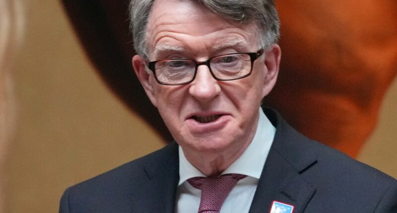 UK politician Peter Mandelson under pressure to quit over Jeffrey Epstein links