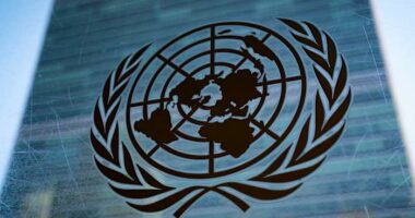 UN Security Council to hold high-level meeting on Gaza before Trump's Board of Peace convenes