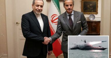 UN nuclear watchdog chief urges US to secure Iran deal