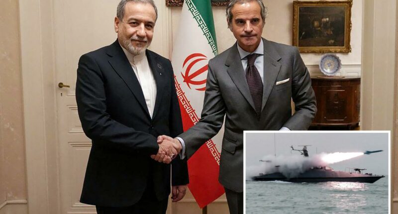 UN nuclear watchdog chief urges US to secure Iran deal