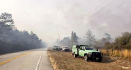 US Forest Service battling brush fire in Ocala National Forest; road closures reported