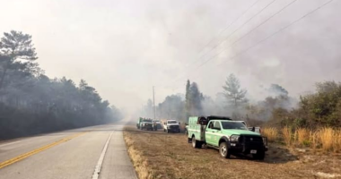 US Forest Service battling brush fire in Ocala National Forest; road closures reported