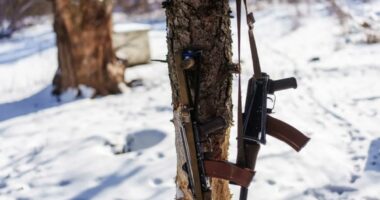 US citizen sentenced to four years in Russian jail after trying to smuggle Â Kalashnikov assault rifle stocks out of Moscow airport: reports