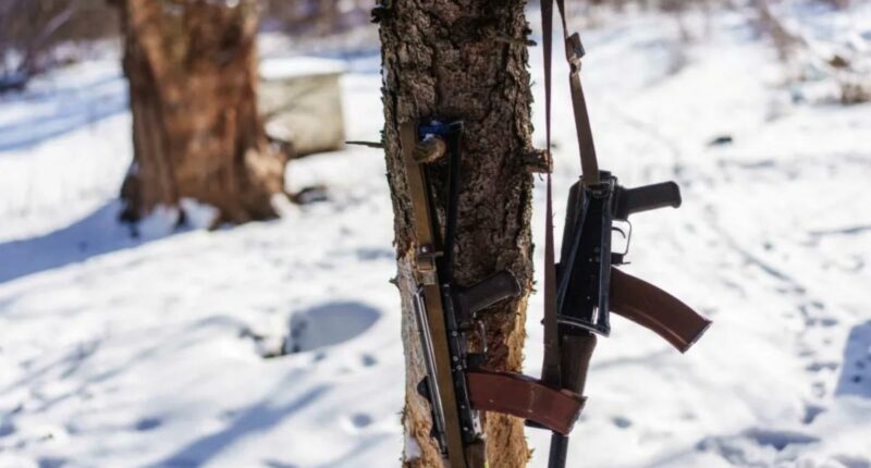 US citizen sentenced to four years in Russian jail after trying to smuggle Â Kalashnikov assault rifle stocks out of Moscow airport: reports