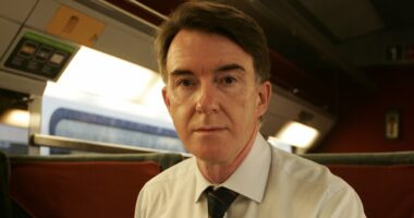 US politicians demand Mandelson testify before Congress