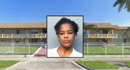 'Uncalled for': Woman repeatedly stabbed the father of her child when she found out he was having sex with her sister, cops say