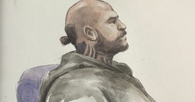 Underworld figure guilty of ordering assassination of rival bikie