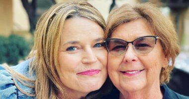 Unknown DNA found at Nancy Guthrie's property, investigators say