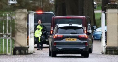 Unmarked police arrive at Royal Lodge as probe into Andrew continues