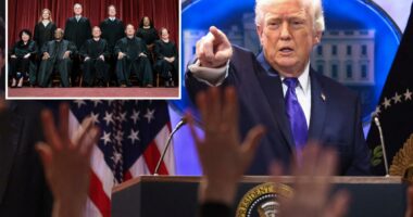 'Unpatriotic and disloyal to our Constitution'