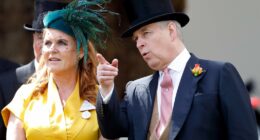 Celebrity Net Worth logo