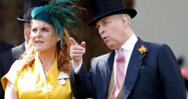 Celebrity Net Worth logo