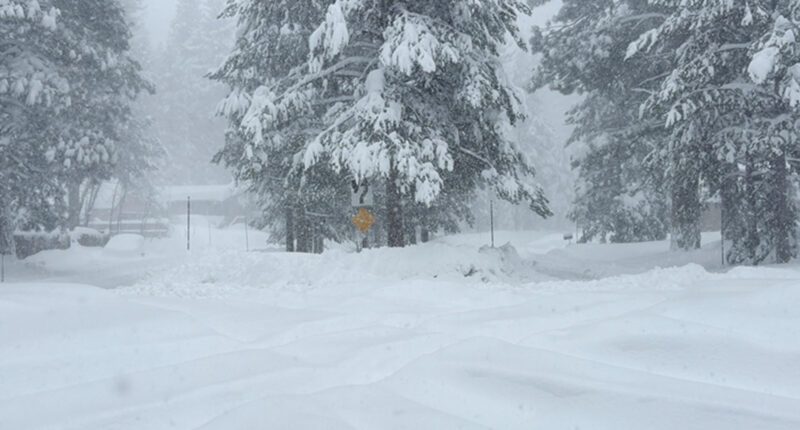 Up to 10 backcountry skiers missing after avalanche in Castle Peak area in Sierra Nevada, California, sheriff's office says