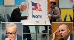 Utah Sen. Mike Lee calls Schumer's 'Jim Crow 2.0' attack on voter ID bill 'paranoid fantasy'