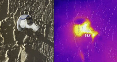 VIDEO: Thermal camera captures crazy cold, perfect preps in Seminole County