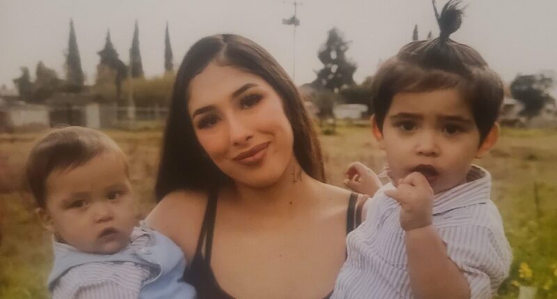 Vain mother pleads guilty after she left her son to die in a hot car