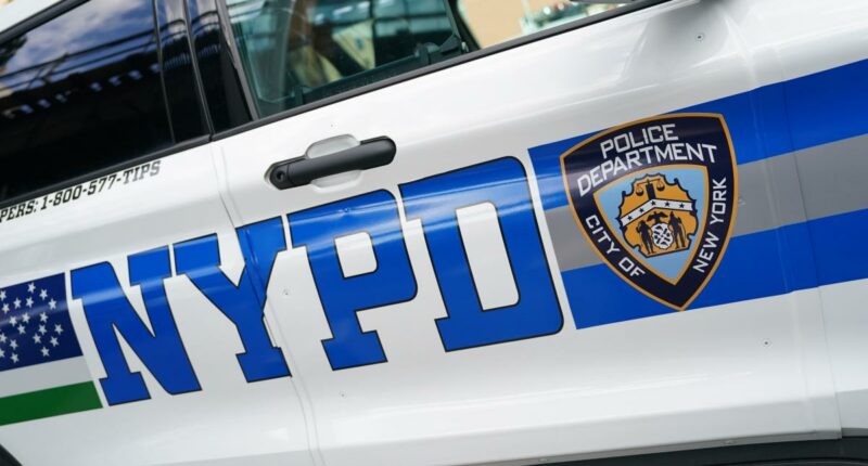Vandals slash tires on 7 NYPD cars at HQ for special team Mamdani pledged to cut: cops
