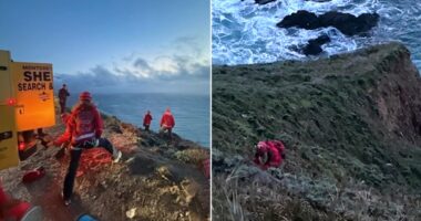 Vehicle falls 500 feet off towering cliff along California scenic roadway, killing one