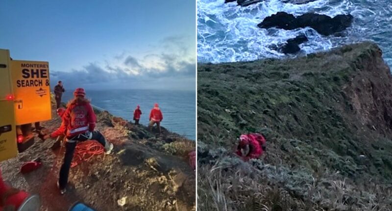 Vehicle falls 500 feet off towering cliff along California scenic roadway, killing one