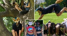 Viral trend in Argentina has young people identifying themselves as animals