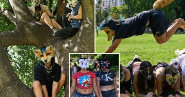Viral trend in Argentina has young people identifying themselves as animals