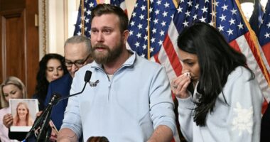 Virginia Giuffre's brother says Epstein case 'mishandled'