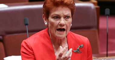 Pauline Hanson in Australian Senate (Alex Ellinghausen/Nine)