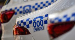 WA man charged with producing, distributing child exploitation material to US prisoners