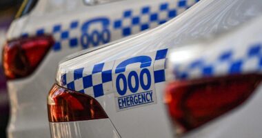 WA man charged with producing, distributing child exploitation material to US prisoners