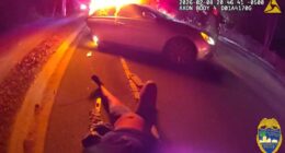 WATCH: Officer pulls woman from burning car after reported carjacking-turned-crash in Jacksonville