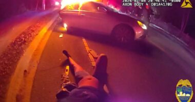 WATCH: Officer pulls woman from burning car after reported carjacking-turned-crash in Jacksonville