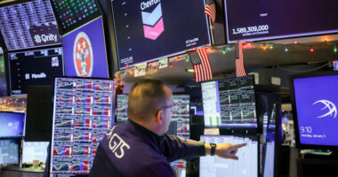 Wall Street rallies as software selloff slows