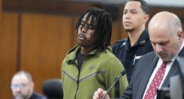 Wannabe YouTube star gets slap on the wrist for snowball attack