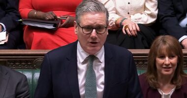 Warnings to PM over making 'Queen of Woke' the Cabinet Secretary