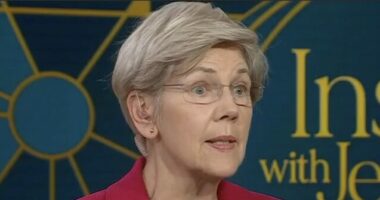 Warren: Trump Used Tariffs 'Like a Mafia Shakedown'