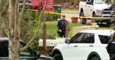 Washington state stabbing rampage leaves 5 dead, including suspect shot by deputies