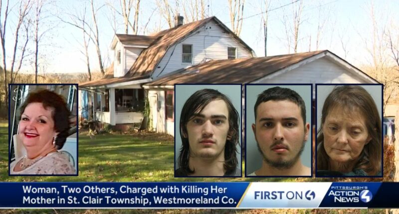 'We need you to put a fat cow down': Woman conspired with 2 men to kill her 71-year-old mother over custody dispute, authorities say