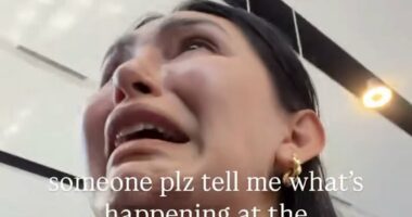 'We were terrified, we ran, there were fires all around us... I began filming so I could send to my family if I was going to die': Tourists describe their horror as they are caught up in Mexican cartel violence